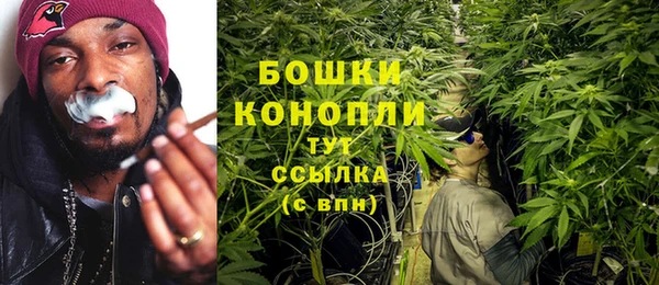 2c-b Белокуриха