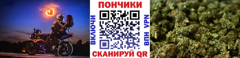 Купить закладки  Новоаннинский  Шишки марихуана план 